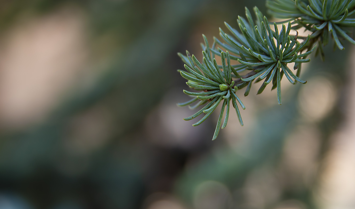 sustain_testimonial_bg