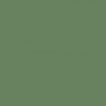 Flat_SageGreen