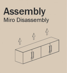 INS Miro Disassembly