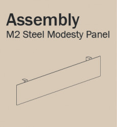 INS M2 Steel Modesty