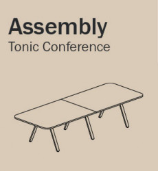 INS-Tonic-Conference