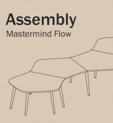 Mastermind Flow Assembly Icon