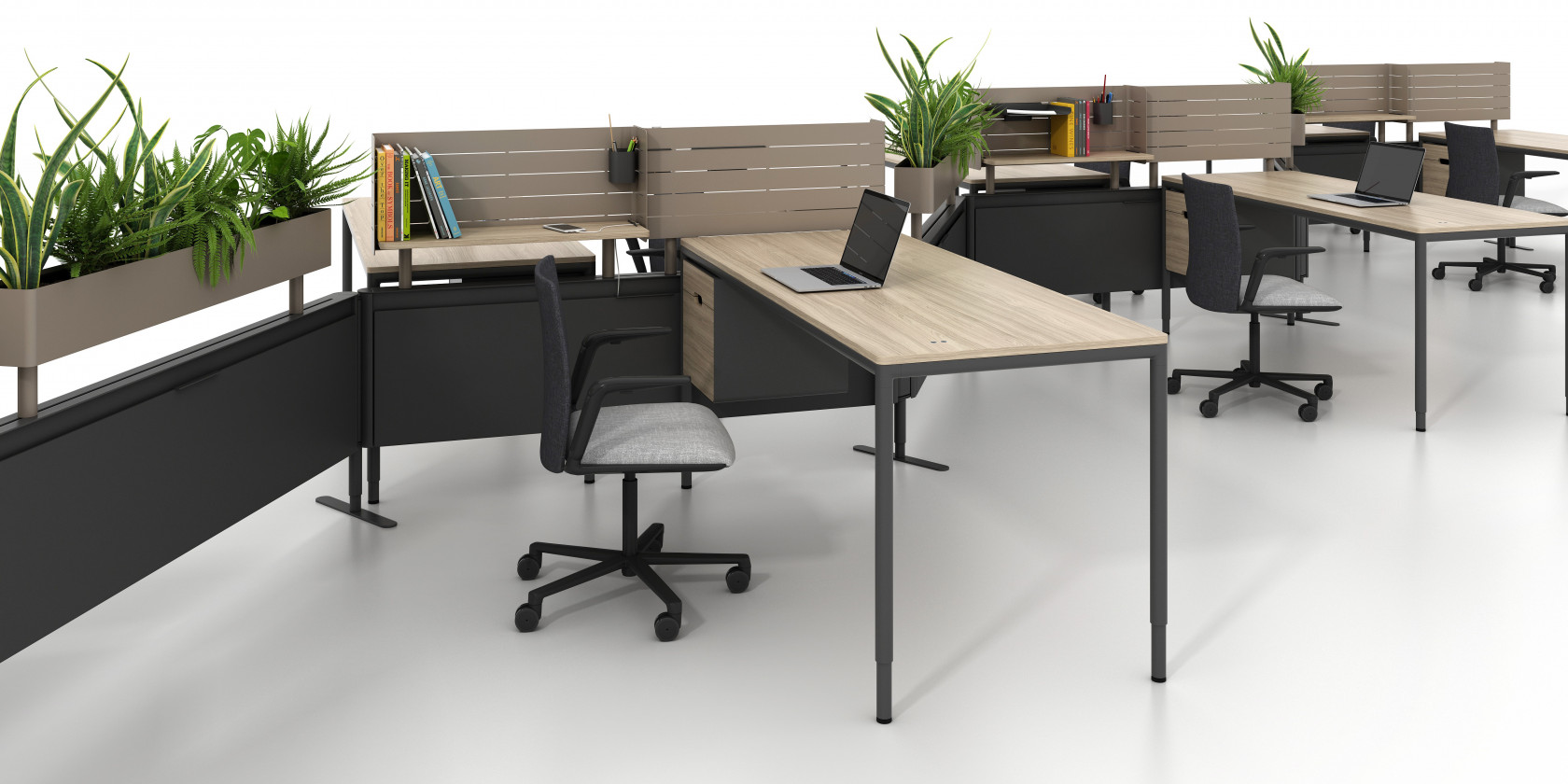 sCloud9Open-011 LowShot2024_Final