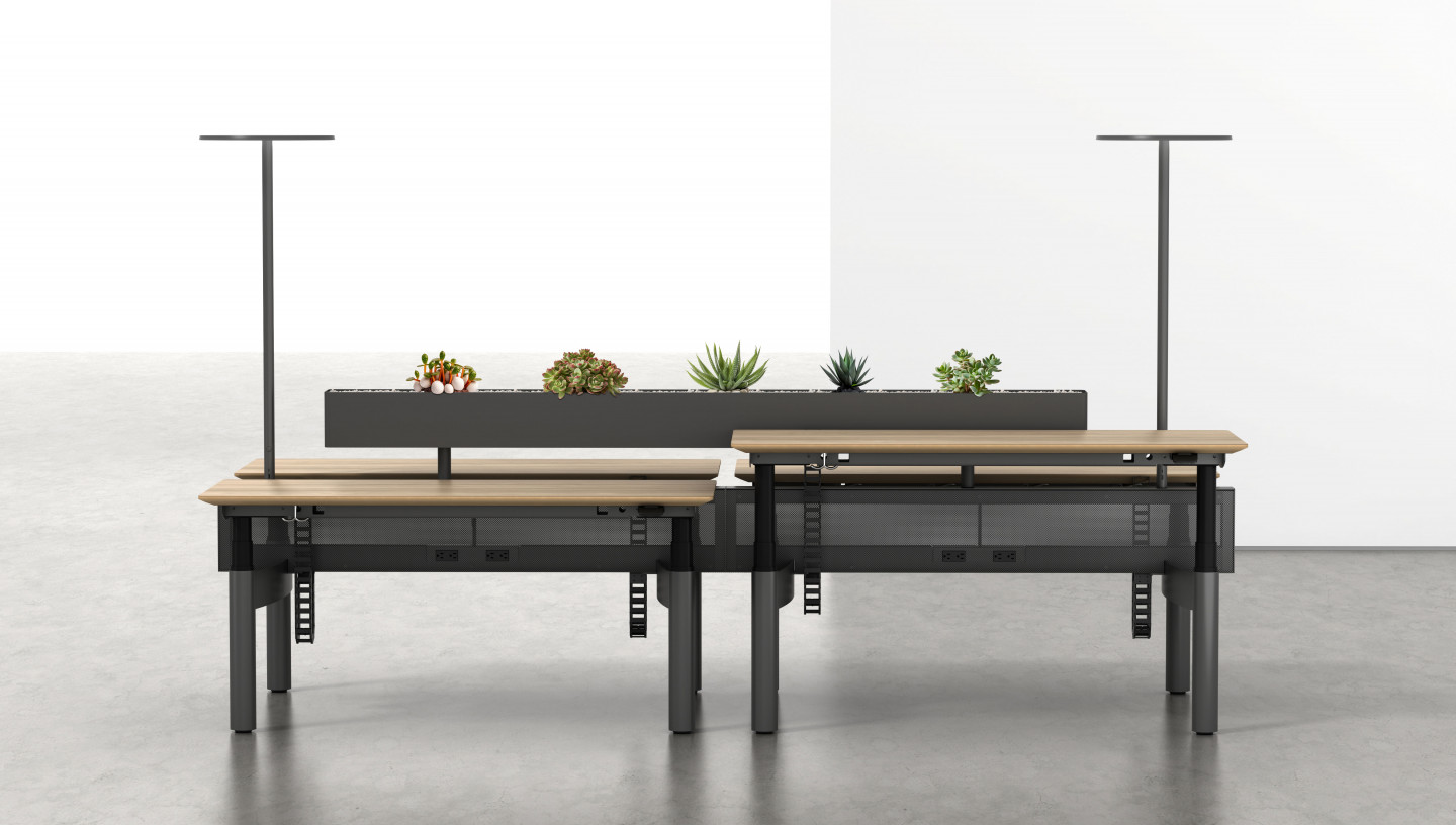 eEdisonOpen_017_4Pack_Light_S3