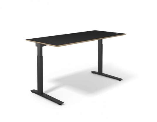 Options-EDesk_2Leg_ICON