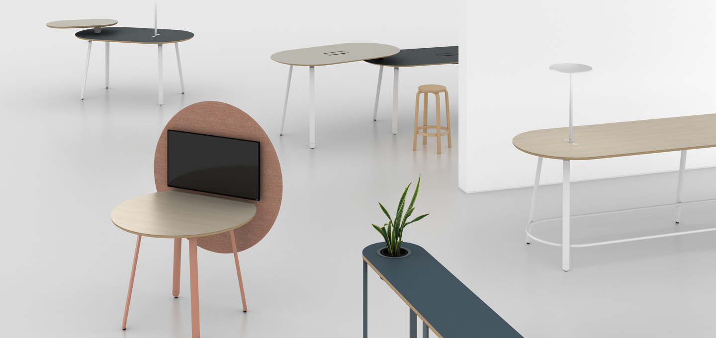 Haven Collection Banner